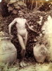 boy in garden 47